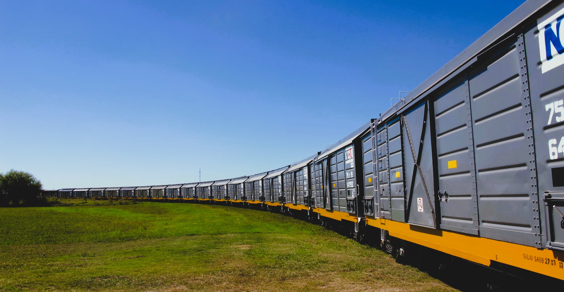 Foto fila de vagones